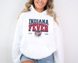 Indiana Fever ESTD 2000 Hoodie