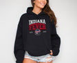 Indiana Fever ESTD 2000 Hoodie