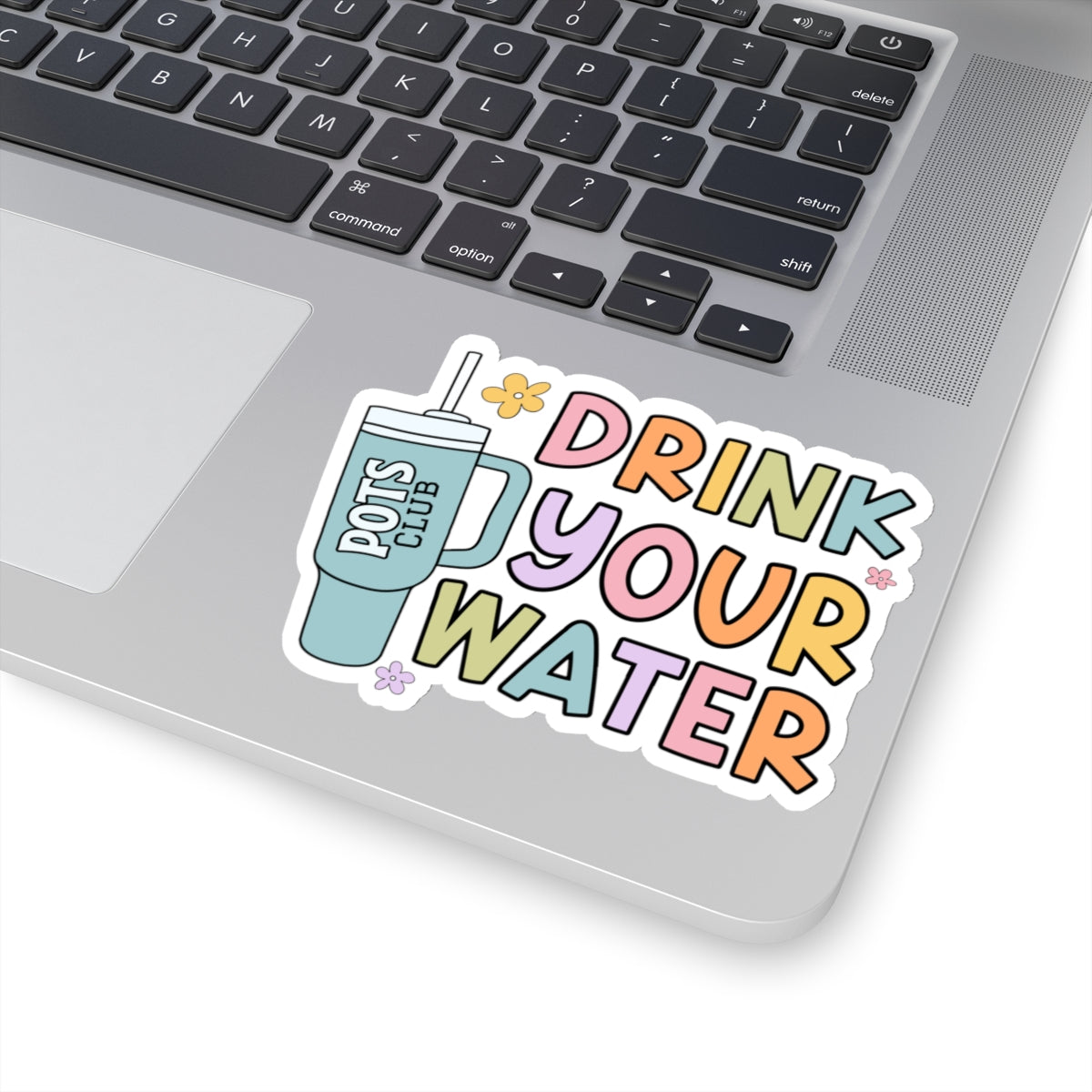 4 inch drink your water sticker on laptop