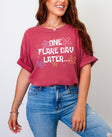 One Flare Day Later Chronic Illness T-Shirt